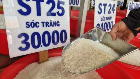 Giá lúa gạo hôm nay 24/4: Giá gạo xuất khẩu quay đầu giảm từ 4 - 10 USD/tấn