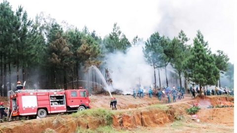 Bắc Ninh tăng cường công tác phòng cháy, chữa cháy rừng