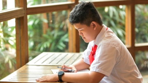 Đà Nẵng: Học sinh lớp 9 đạt giải Nhất quốc gia Cuộc thi Viết thư quốc tế UPU lần thứ 53