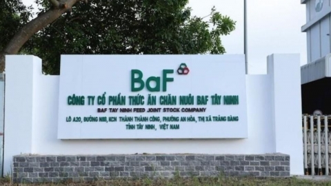 BaF Việt Nam (BAF) : Trả cổ tức 17% bằng cổ phiếu, thực hiện quyền mua cổ phiếu với giá 10.000 đồng/CP