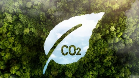 Đề án phát triển thị trường carbon Việt Nam theo hướng nào?