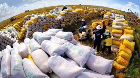 Xuất nhập khẩu của Việt Nam: Những thuận lợi và khó khăn