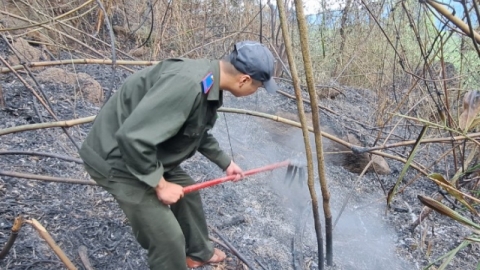 Cháy rừng dưới chân núi Bà Nà, huy động 200 người chữa cháy