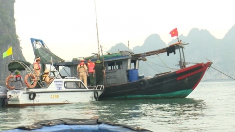 Công an thành phố Hạ Long kiên quyết xử lý các tàu cá "3 không"