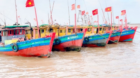 Nam Định chống khai thác IUU: Huyện ven biển không lơ là, chủ quan trong công tác tháo gỡ thẻ vàng (bài 3)
