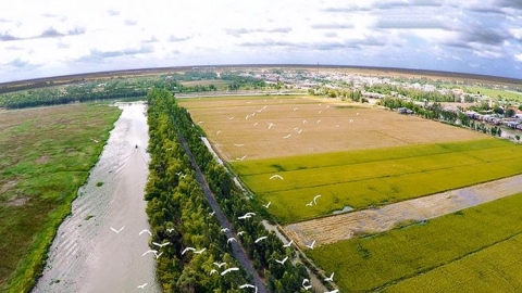 Long An được chuyển đổi hơn 47 ha đất trồng lúa làm khu tái định cư