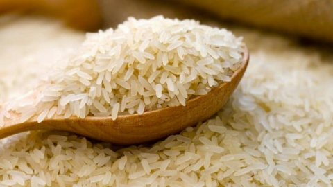 Giá lúa gạo hôm nay 22/5: Thị trường giao dịch bình ổn
