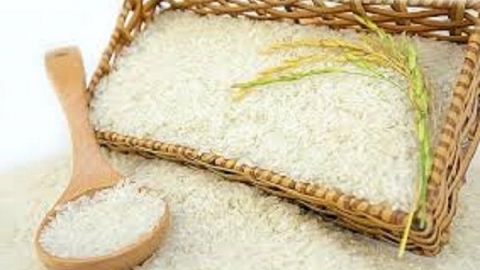 Giá lúa gạo hôm nay 25/5: Giá gạo xuất khẩu quay đầu giảm