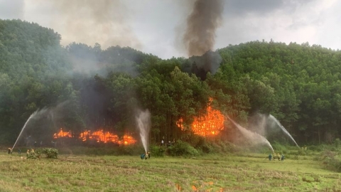 Bắc Giang: Ứng trực 24/24h những khu vực rừng có nguy cơ cháy cao