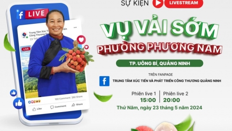 Quảng Ninh: Ứng dụng chuyển đổi số trong sản xuất, tiêu thụ nông sản