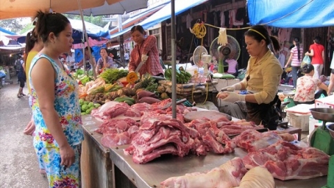 Giá lợn hơi tăng cao nhất trong hai năm qua, giải pháp nào bình ổn thị trường?