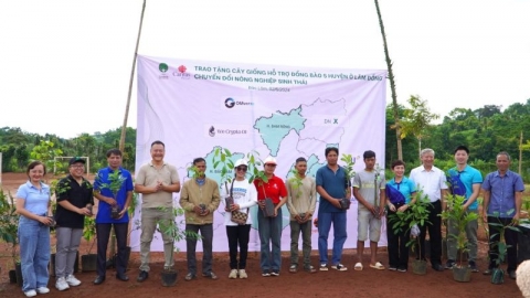 Trao tặng cây giống hỗ trợ đồng bào ở Lâm Đồng chuyển đổi nông nghiệp sinh thái
