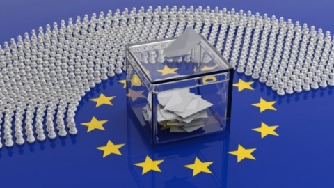 Giới cầm quyền phương Tây chịu đả kích trong bầu cử Nghị viện Châu Âu