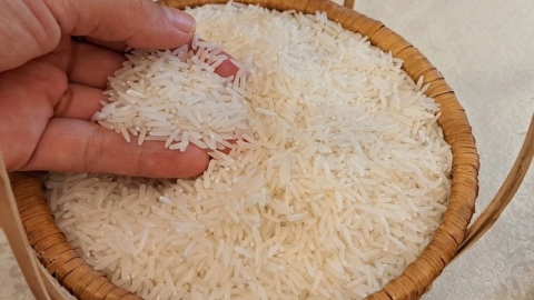 Giá lúa gạo hôm nay 26/6: Giá gạo xuất khẩu bất ngờ tăng nhẹ