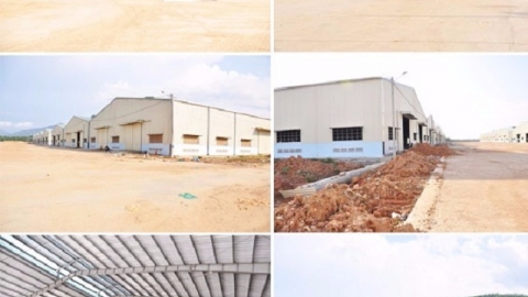 Bình Định đầu tư dự án Nhà máy sản xuất viên nén, dăm và ván gỗ