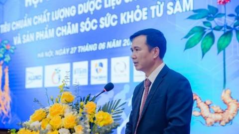 Giải pháp phát triển sâm Việt Nam thành ngành hàng có giá trị kinh tế cao
