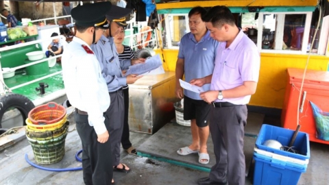 Quảng Ninh còn 1.489 tàu cá có chiều dài lớn nhất từ 6m trở lên chưa đăng ký theo quy định