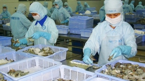 Thủy sản Việt Nam "đắt khách" tại Trung Quốc và ASEAN