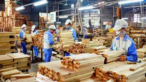 Xuất khẩu gỗ và sản phẩm gỗ trong 6 tháng đầu năm đạt gần 8 tỷ USD; Hoa Kỳ là thị trường lớn nhất