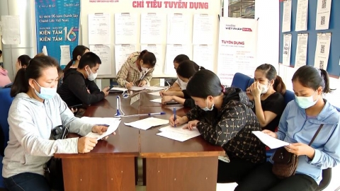 Gần 11.000 người ở Ninh Bình được giải quyết việc làm