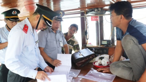Quảng Ninh: Xử lý dứt điểm số lượng tàu cá "3 không" trong tháng Bẩy