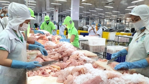 EU ban hành quy định về sửa đổi liên quan đến an toàn thực phẩm động vật