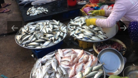 Bắc Ninh: Tăng cường phòng chống ngộ độc thực phẩm do Histamine trong cá