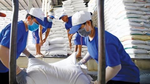 Diễn biến thị trường gạo châu Á