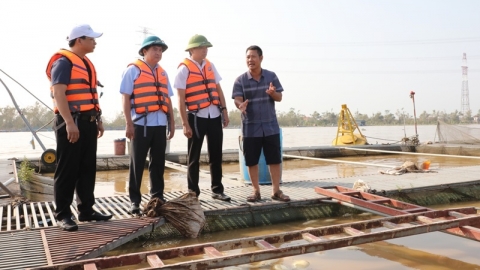 Bắc Ninh: Sở Công Thương hỗ trợ kết nối, tiêu thụ sản phẩm cá lồng cho các hộ dân tại huyện Lương Tài