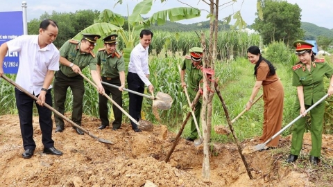 Hà Tĩnh hưởng ứng chương trình “Vì một Việt Nam xanh”