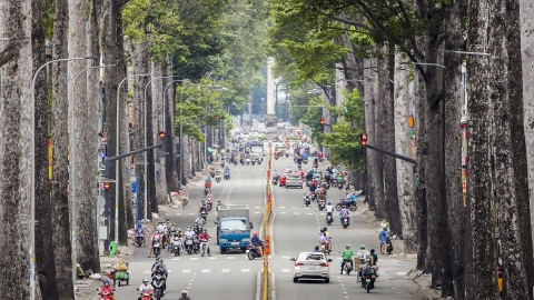 TP. Hồ Chí Minh thay thế, hạ thấp gần 3.000 cây xanh hư hại, mất an toàn