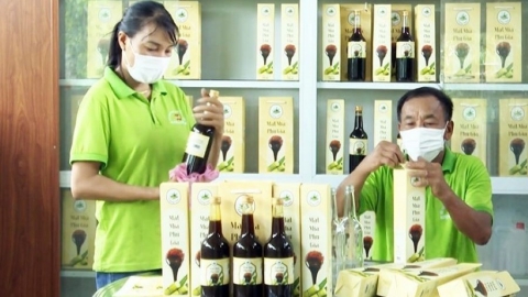 Hà Tĩnh có thêm 3 sản phẩm được công nhận đạt chuẩn OCOP 3 sao