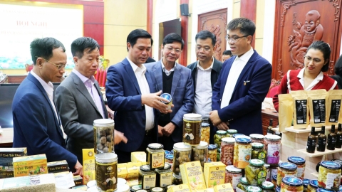 Bắc Ninh đánh giá, phân hạng sản phẩm OCOP đợt 2 năm 2024