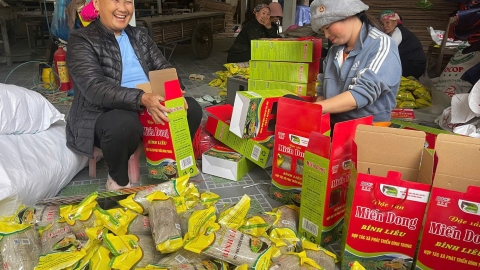 Miến dong Bình Liêu – Sản phẩm OCOP tiêu biểu của Quảng Ninh