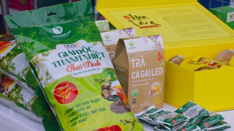 Thái Bình có 216 sản phẩm OCOP