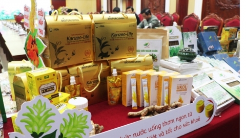 Bắc Ninh thưởng cho 131 sản phẩm được công nhận OCOP năm 2024