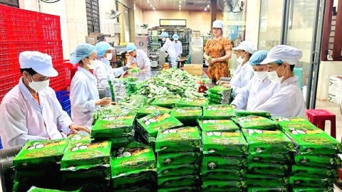 Quảng Nam: Lần đầu tiên có 2 sản phẩm đạt chuẩn OCOP 5 sao