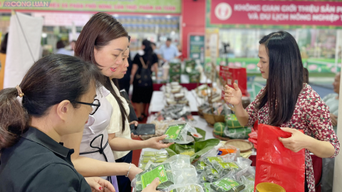 Hà Nội: Trao bằng công nhận danh hiệu làng nghề, chứng nhận OCOP cấp thành phố năm 2024