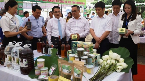 Quảng Bình đẩy mạnh kết nối tiêu thụ sản phẩm đặc trưng qua chuyển đổi số