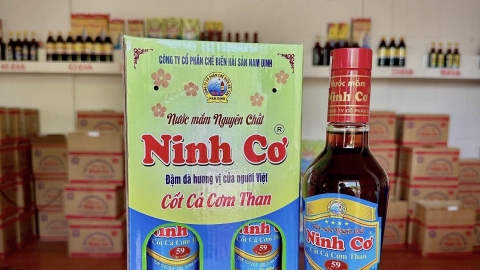 Nước mắm Ninh Cơ – Giữ trọn hương vị biển, nâng tầm ẩm thực Việt