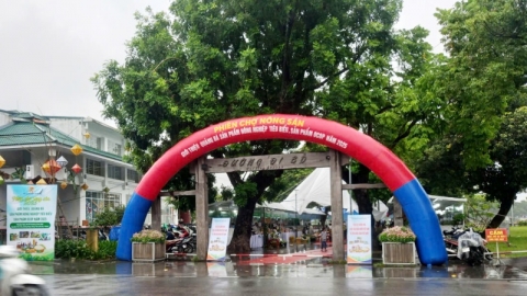 Huế: Phiên chợ nông sản lên “Phố”