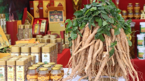 Bắc Ninh hỗ trợ các chủ thể OCOP tham gia đánh giá, công nhận lại