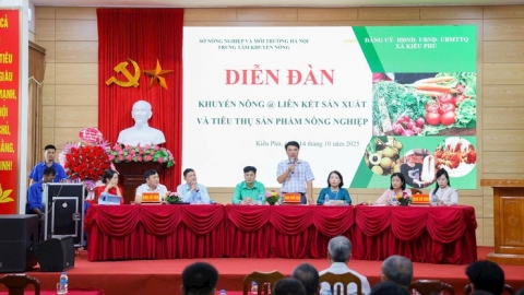 Xã Kiều Phú thúc đẩy liên kết, nâng tầm nông sản an toàn hướng tới phát triển bền vững