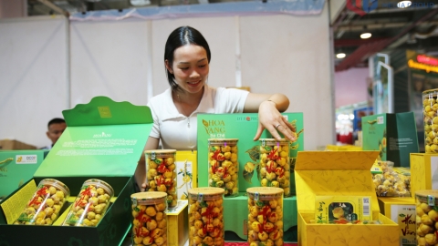 Sắp diễn ra Triển lãm Đặc sản vùng miền - Sắc thu Quảng Ninh 2025