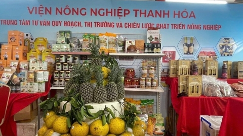 Thanh Hóa tham dự Hội chợ triển lãm Nông nghiệp Quốc tế lần thứ 25 - AgroViet 2025