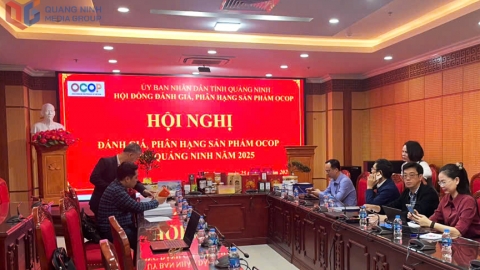 Đánh giá, phân hạng sản phẩm OCOP tỉnh Quảng Ninh năm 2025