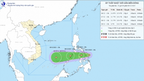 Áp thấp nhiệt đới vào giữa Biển Đông, giật cấp 8