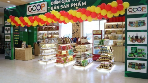 Sàng lọc OCOP: Từ phong trào sang hàng hóa thị trường