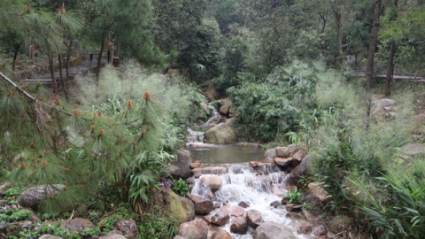 Cải tạo, phục hồi suối Côn Sơn gắn với gìn giữ cảnh quan, phát huy giá trị Di sản văn hóa thế giới Côn Sơn – Kiếp Bạc