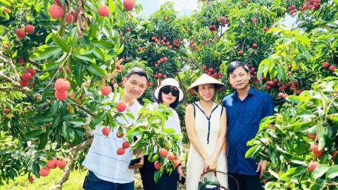 OCOP và du lịch nông thôn tạo động lực phát triển M88bet không chặn nông thôn bền vững